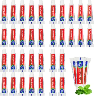 300 Tubes Bulk Travel Size Toothpaste,0.176 oz Extra Small Toothpaste Travel Size Bulk Mint Mini Disposable Toothpaste for Hotel,Guests,Homeless,Charity(Too Small, Only Good for Single Use)