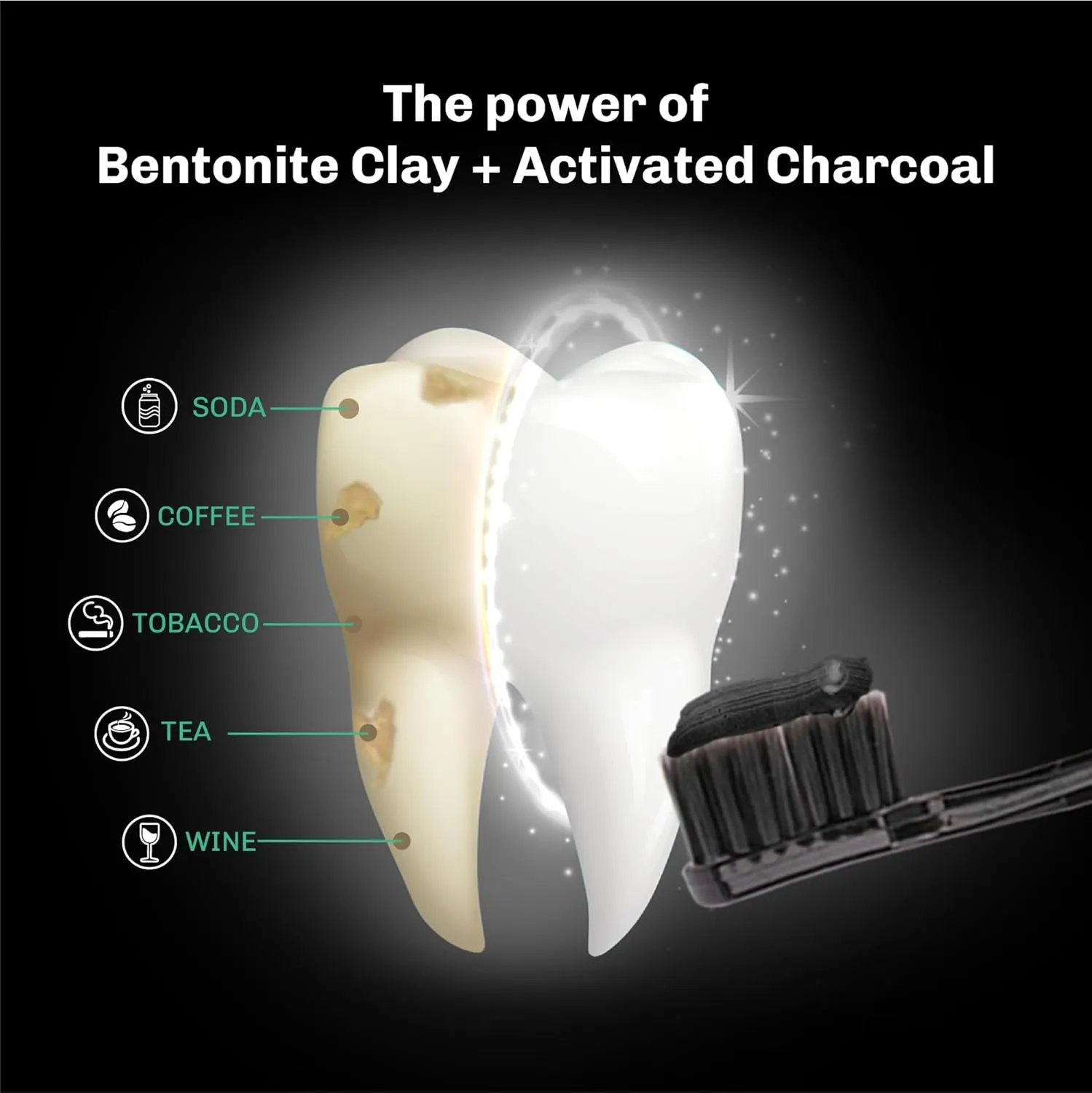BENTODENT Fluoride Free Organic Charcoal Toothpaste with Bentonite Clay for Teeth Whitening- Natural Sensitive Teeth Whitening Toothpaste, Vegan, Travel