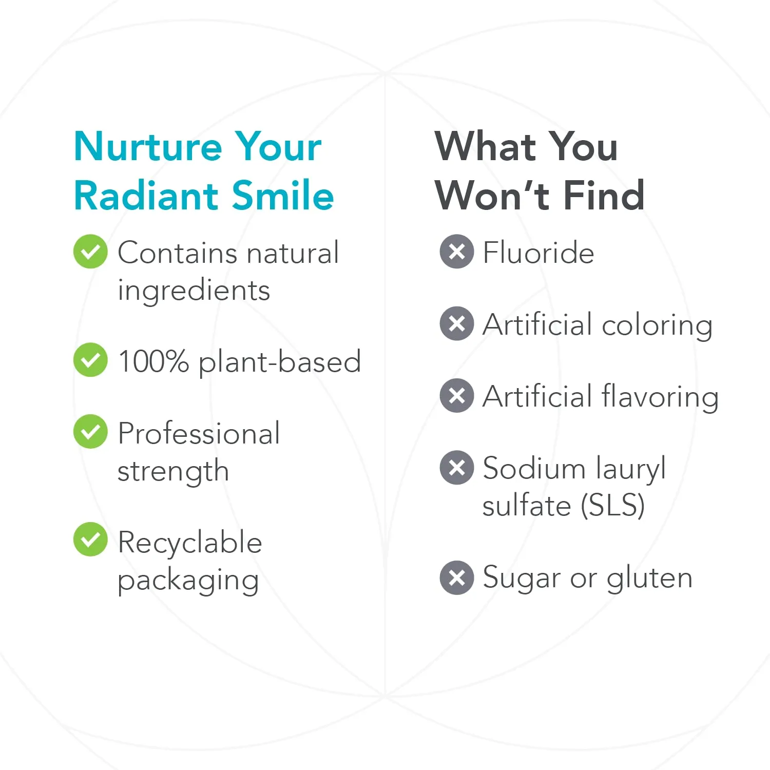 Biocidin Dentalcidin Oral Care System - Fluoride Free Toothpaste & Oral Rinse - 100% Plant-Based - Professional Strength Mouth Wash & Toothpaste for Adults & Kids 2  (2 Piece Set)