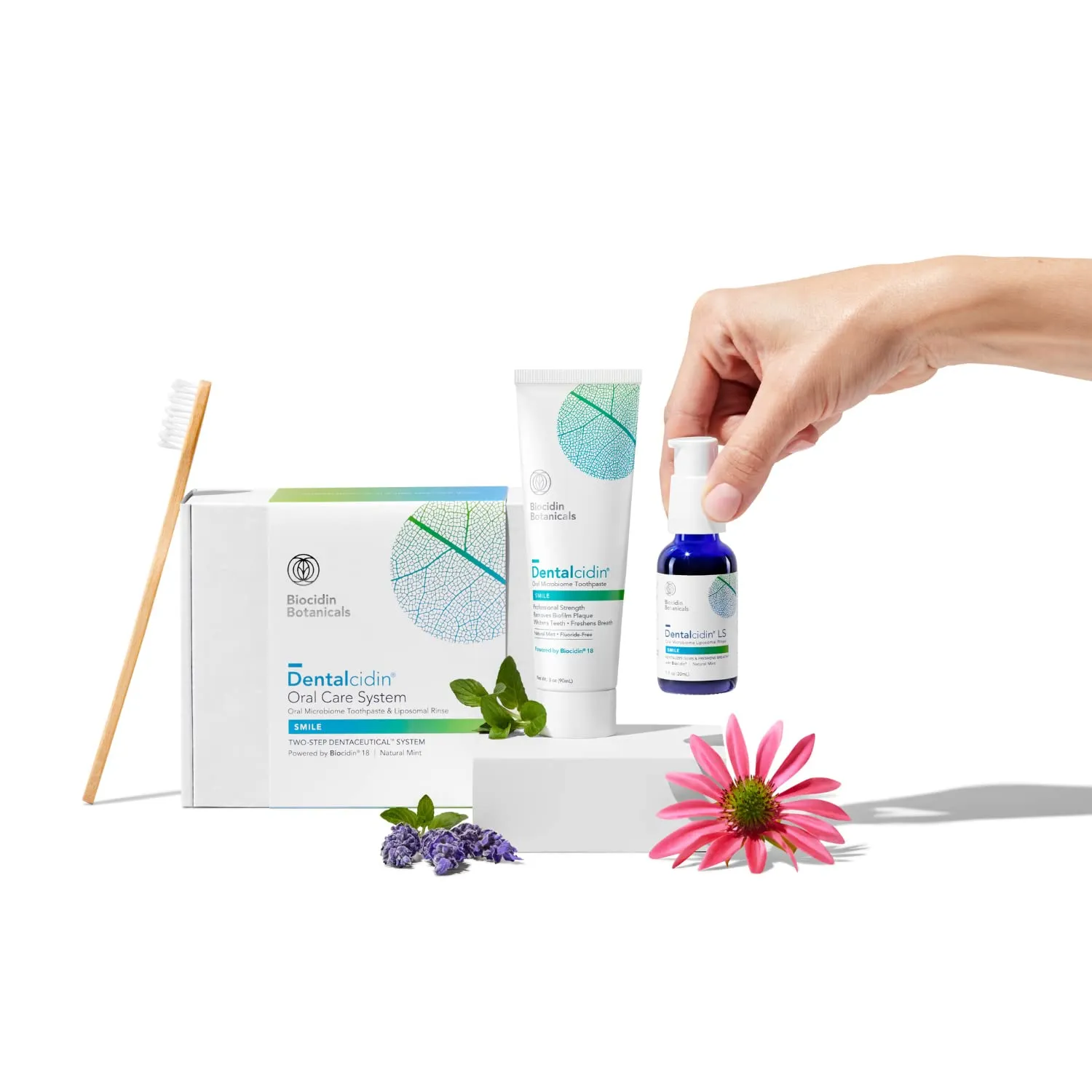 Biocidin Dentalcidin Oral Care System - Fluoride Free Toothpaste & Oral Rinse - 100% Plant-Based - Professional Strength Mouth Wash & Toothpaste for Adults & Kids 2  (2 Piece Set)