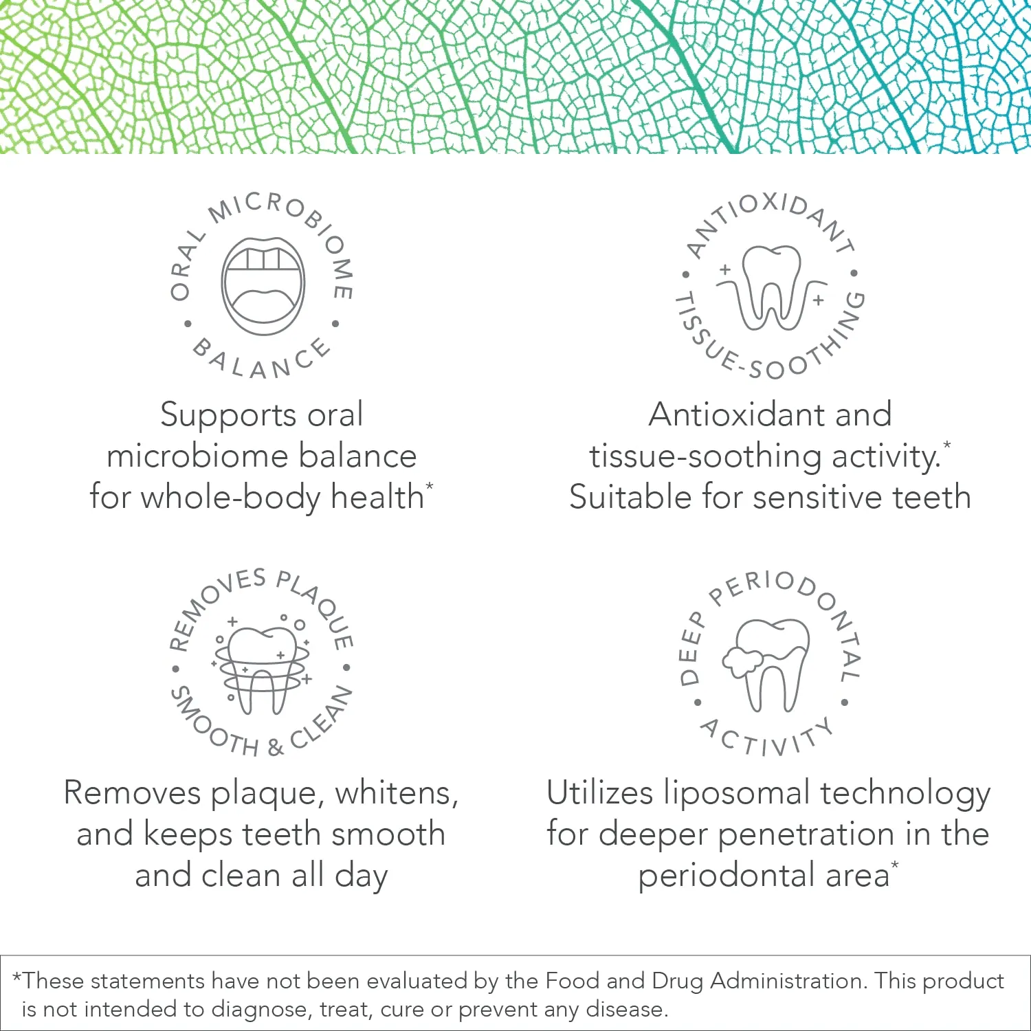 Biocidin Dentalcidin Oral Care System - Fluoride Free Toothpaste & Oral Rinse - 100% Plant-Based - Professional Strength Mouth Wash & Toothpaste for Adults & Kids 2  (2 Piece Set)