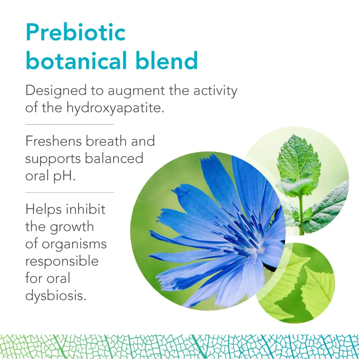 Biocidin Dentalmin Pro Remineralizing Toothpaste - Fluoride Free, Teeth Whitening Toothpaste - with Enamel-Strengthening Hydroxyapatite & Prebiotic, 5 Botanical Blend (3.4 oz)