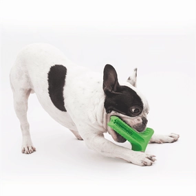 Bristly Brushing Stick Small Heavy Chewer - Green