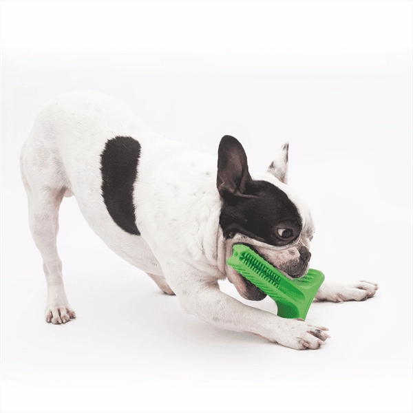 Bristly Brushing Stick Small Heavy Chewer - Green