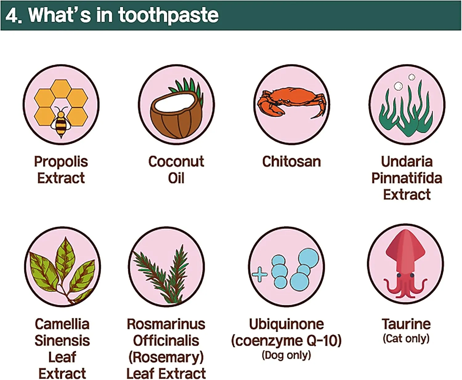 Cat Toothbrush Toothpaste Dental Care - All in One Kit, Cat Toothpaste in Toothbrush, Tooth Whitening & Cleaning, Oil for Healthy Gums (1 Pack, 3 Count)