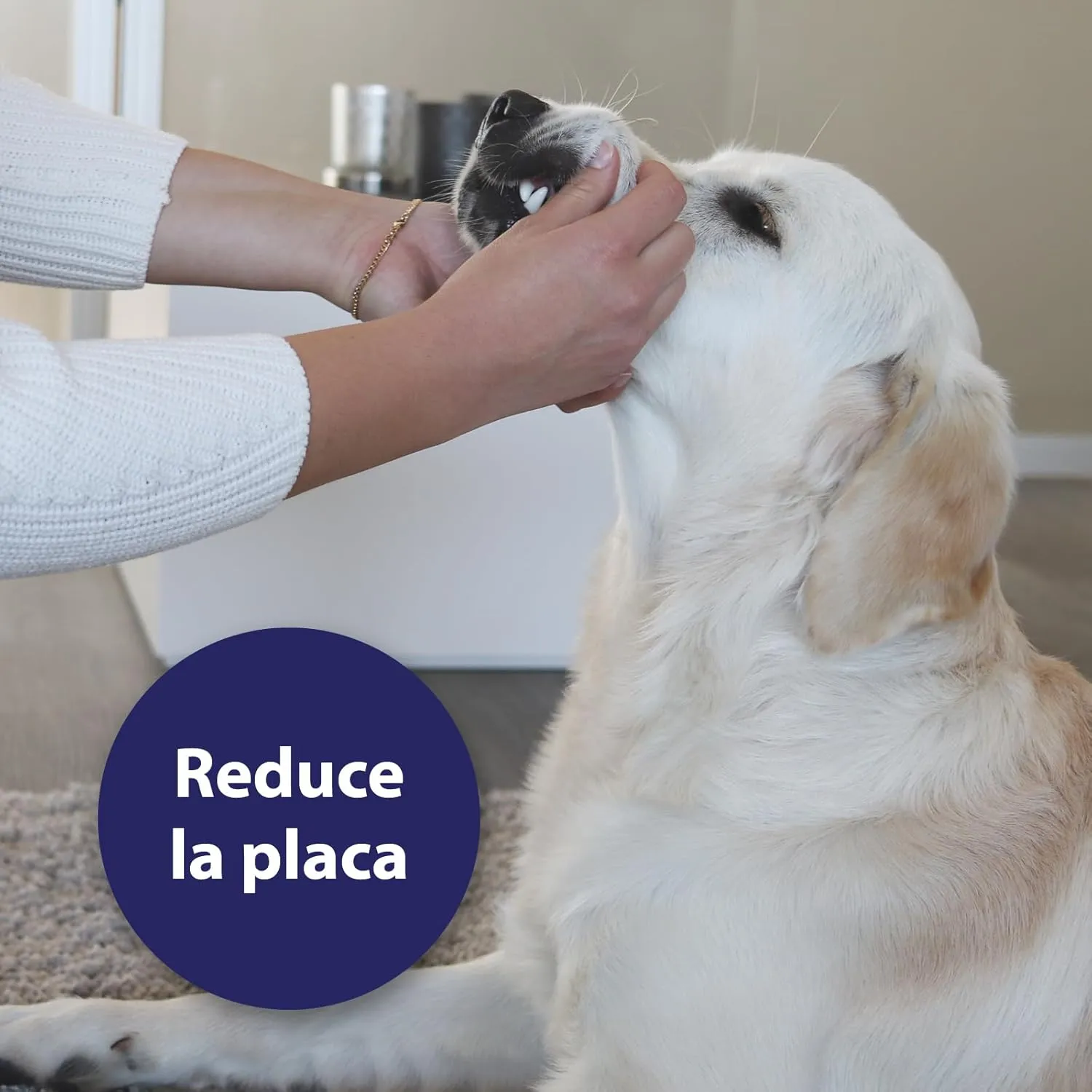 Dental Care Finger Pads for Dogs 50 Pads - Dog Teeth Cleaning Product for Dental Care and Oral Hygiene - Dog Breath freshener - Plaque Off Dogs