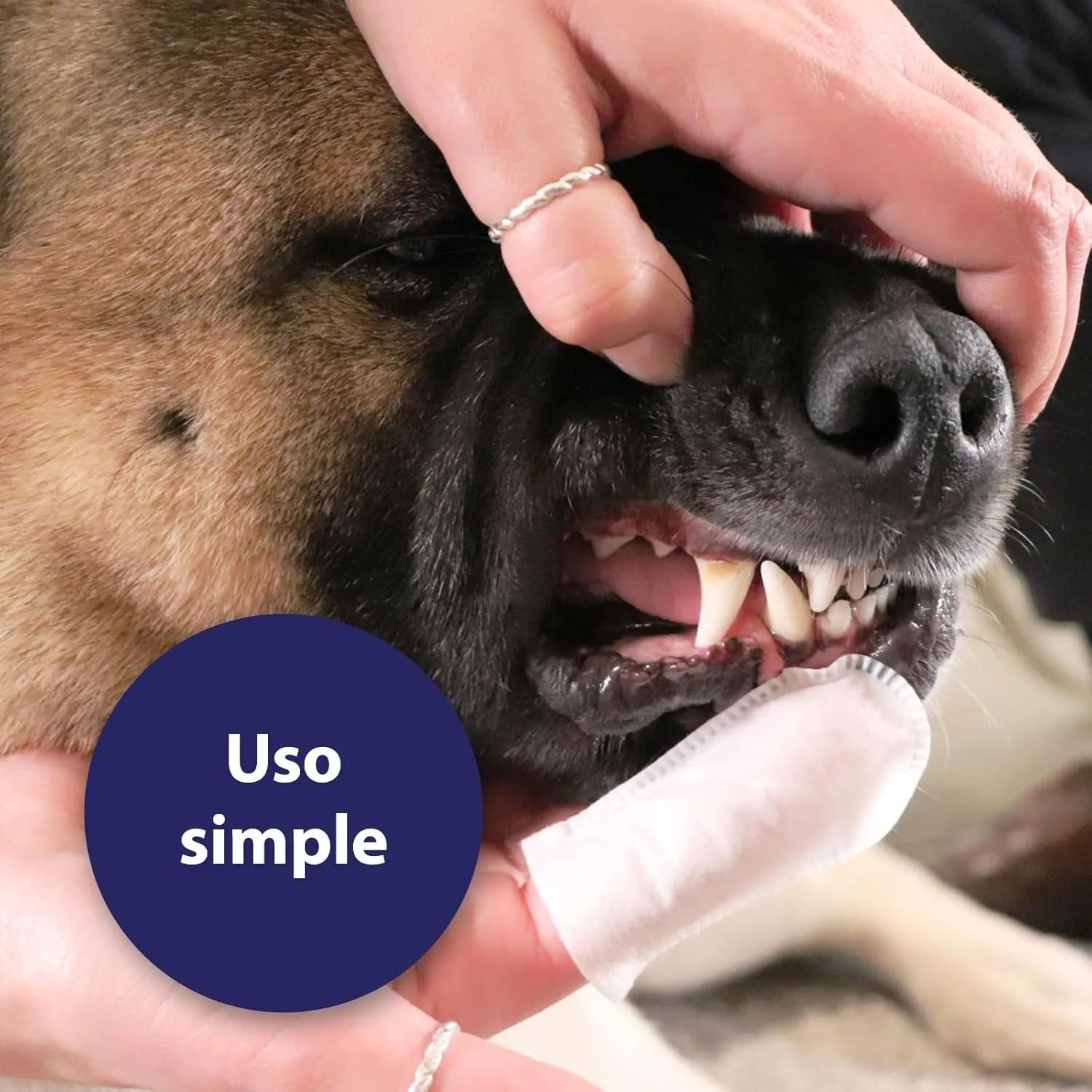 Dental Care Finger Pads for Dogs 50 Pads - Dog Teeth Cleaning Product for Dental Care and Oral Hygiene - Dog Breath freshener - Plaque Off Dogs