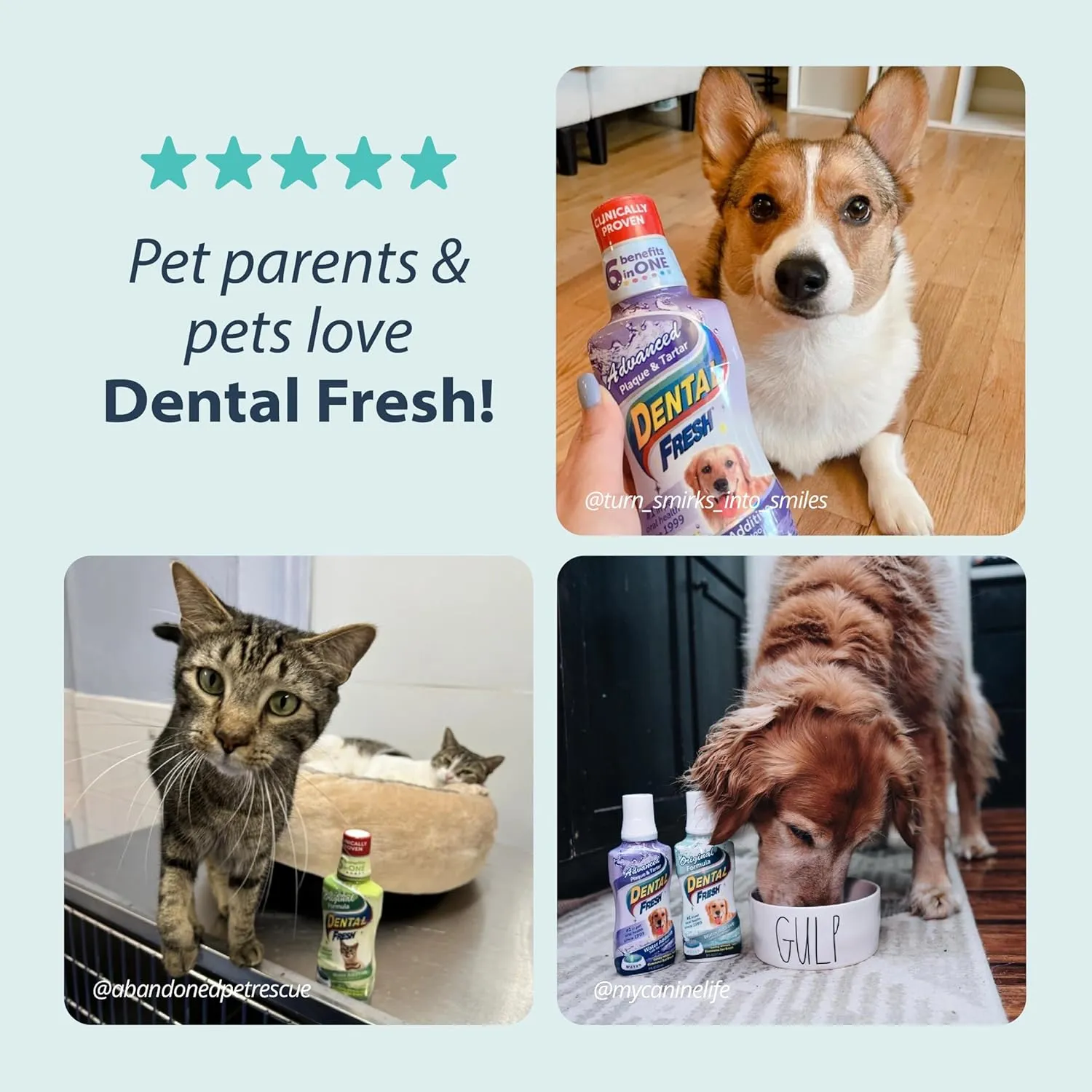 Dental Fresh Water Additive for Dogs, Original Formula, 32oz – Dog Breath Freshener and Dog Teeth Cleaning for Dog Dental Care– Add to Water