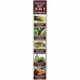 Essential Palace: Honey & Moringa Miswak Toothpaste