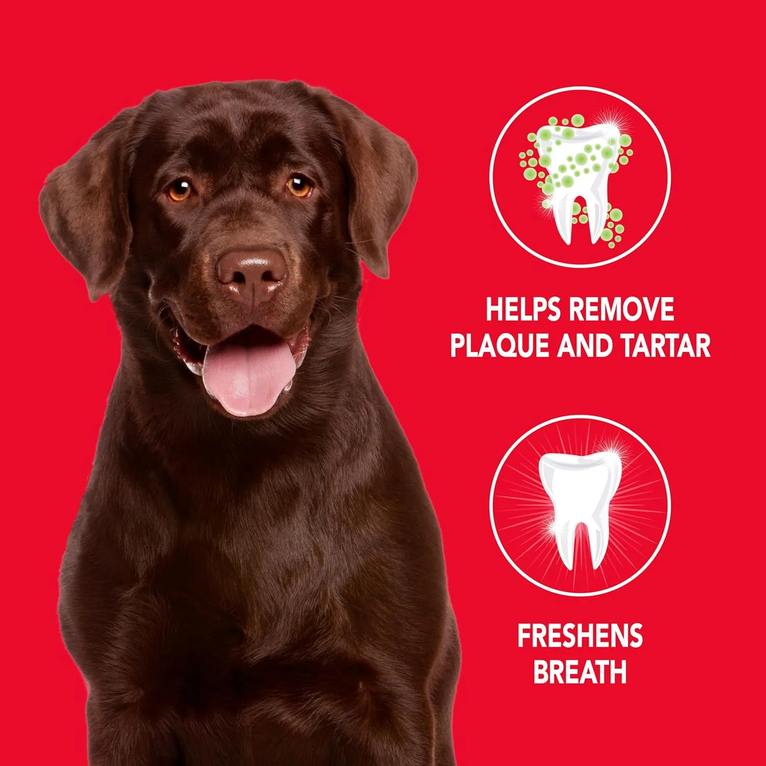 FURminator Ultra Premium deshedding Shampoo for Dogs, 128 oz & Petrodex Toothpaste for Dogs and Puppies, Cleans Teeth and Fights Bad Breath