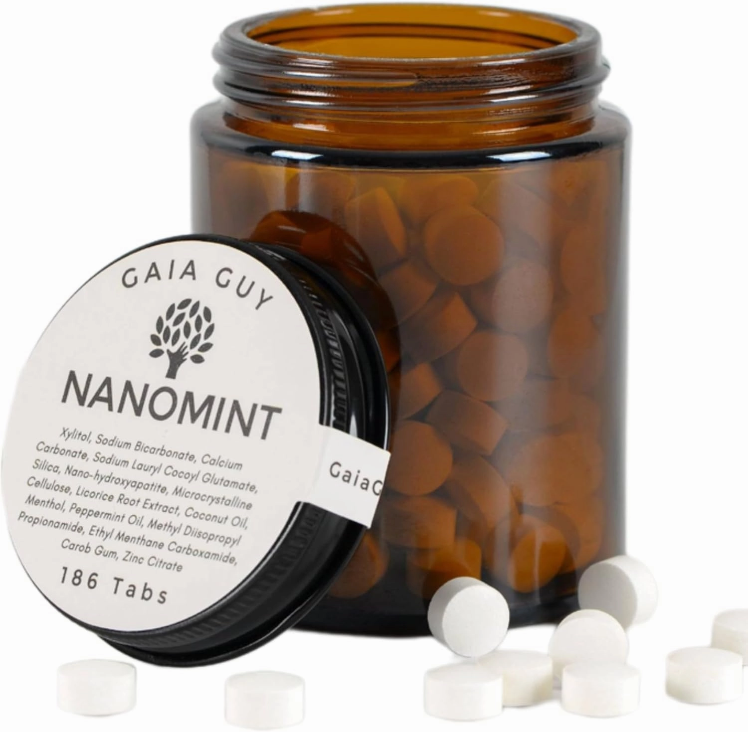 Gaia Guy | NanoMint Fluoride Free Toothpaste | Nano-Hydroxyapatite Remineralizing Toothpaste Tablets - Nano Hydroxyapatite (nHA), Plastic Free, Eco-Friendly Glass Jar | 186 Tabs