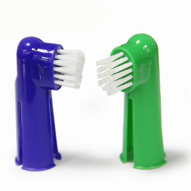 Pet Dog Teeth Cleaning Toothpaste with Toothbrush and Backup Brush Vanilla Flavoured