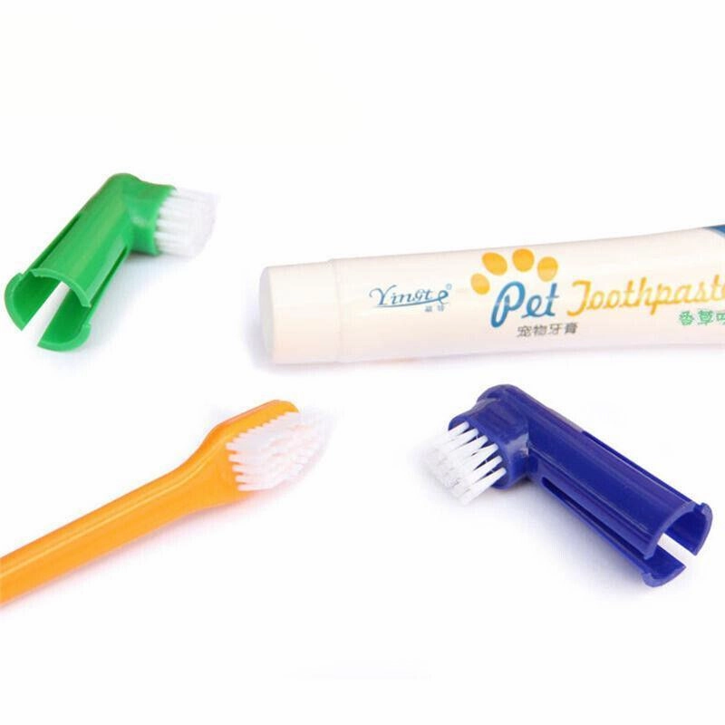 Pet Dog Teeth Cleaning Toothpaste with Toothbrush and Backup Brush Vanilla Flavoured