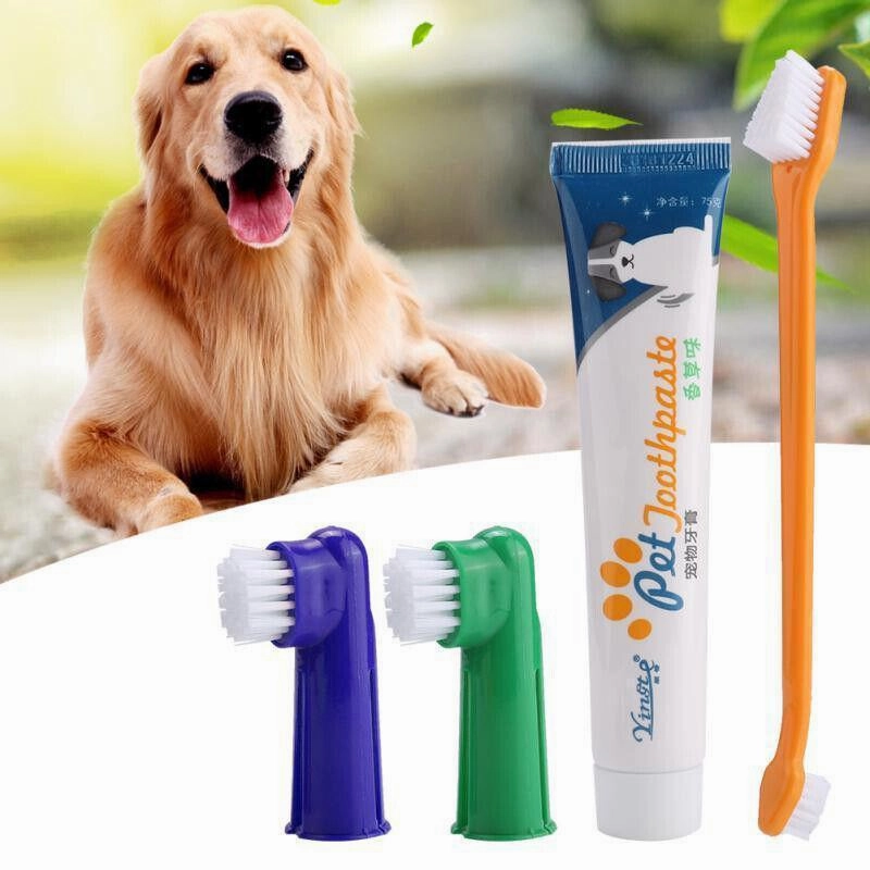 Pet Dog Teeth Cleaning Toothpaste with Toothbrush and Backup Brush Vanilla Flavoured