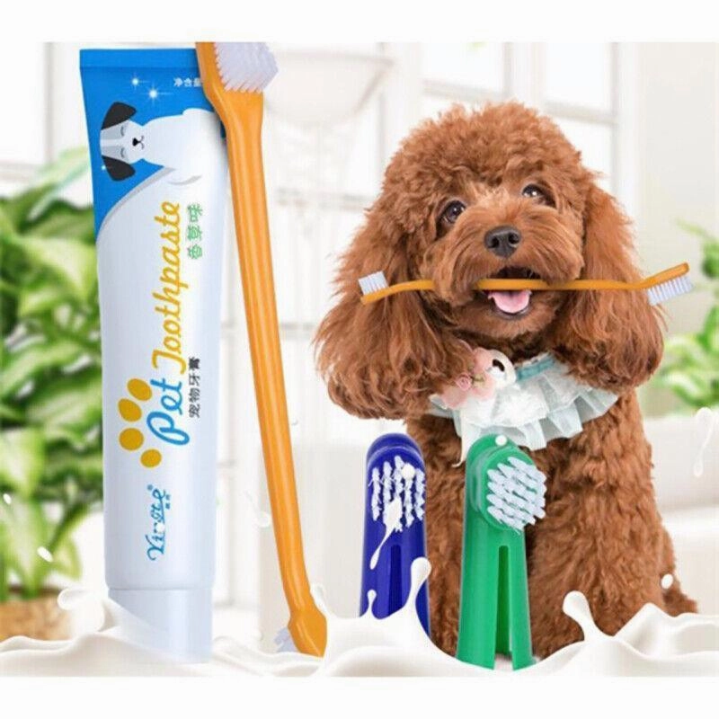 Pet Dog Teeth Cleaning Toothpaste with Toothbrush and Backup Brush Vanilla Flavoured