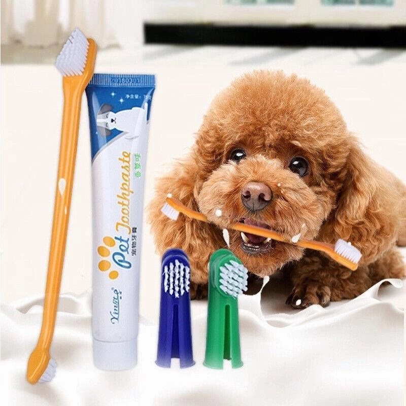Pet Dog Teeth Cleaning Toothpaste with Toothbrush and Backup Brush Vanilla Flavoured