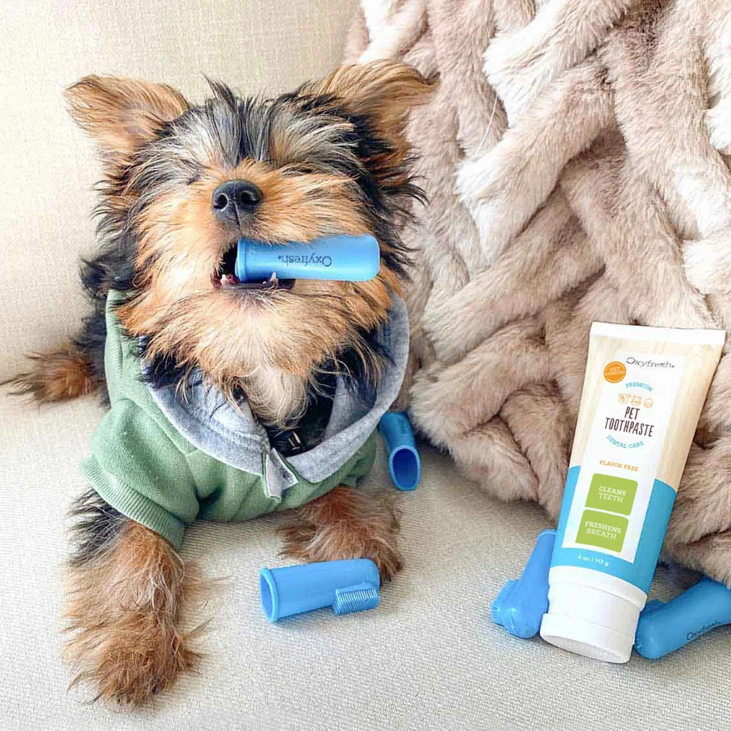 Pet Plaque Fighting Toothpaste & Brush