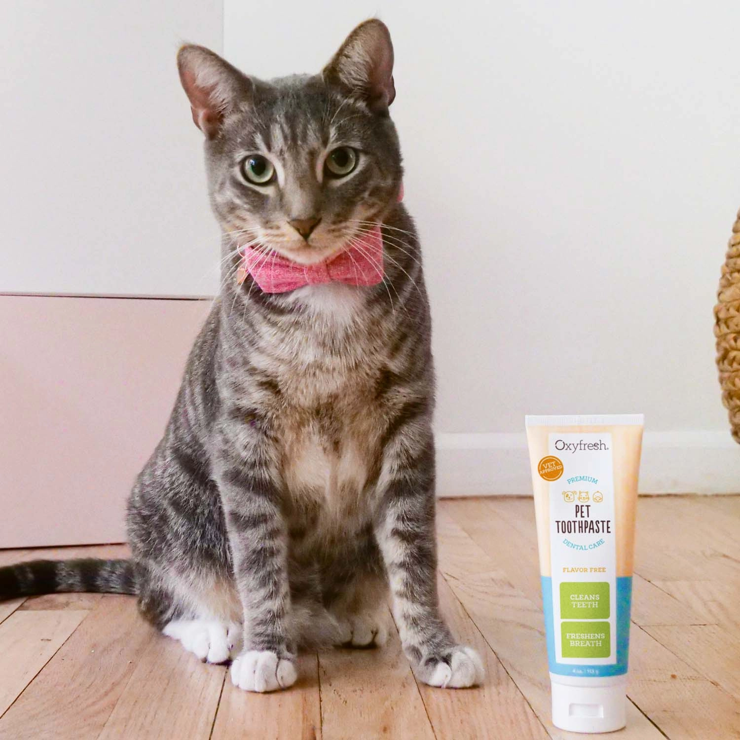 Pet Plaque Fighting Toothpaste & Brush