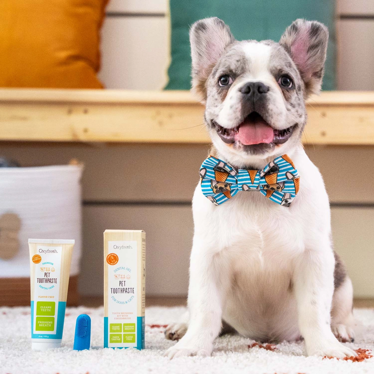 Pet Plaque Fighting Toothpaste & Brush