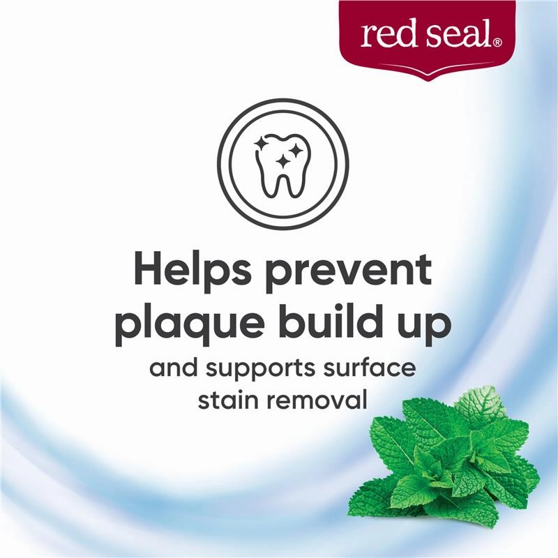 Red Seal Herbal & Mineral Strong Mint Toothpaste 100g