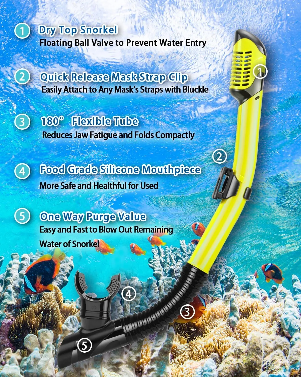 Snorkeling Gear for Adults Kids, Dry Snorkeling Set, Panoramic Anti-Leak and Anti-Fog Tempered Glass Lens, Adjustable Strap Snorkel Set with Mesh Bag Ear Plug for Snorkeling Scuba Diving Travel