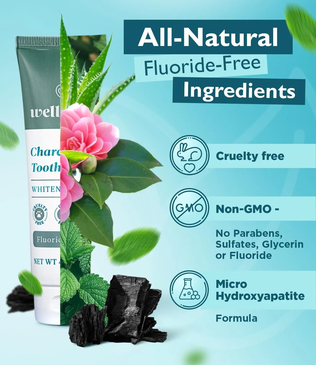 Wellnesse Activated Charcoal Whitening Toothpaste with Xylitol, Fluoride-Free Hydroxyapatite Black Charcoal Toothpaste for Adult Fresh Breath, Natural Teeth Whitening, Mint Flavor, 4 oz (Pack of 1)