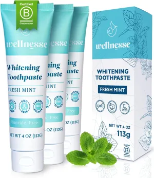Wellnesse Whitening Hydroxyapatite Toothpaste with Xylitol, Natural Fluoride-Free Teeth Whitening Toothpaste for Adults, Strengthens Enamel, Supports Gum Health, Fresh Mint Flavor, 4 oz (Pack of 3)